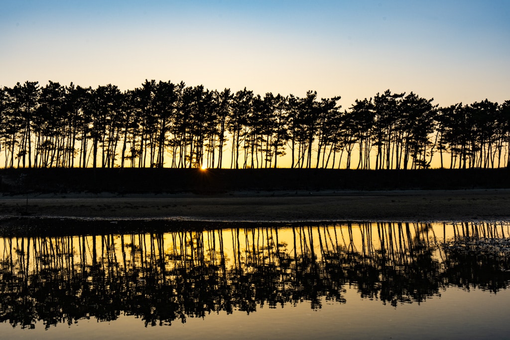 태안 운여해변 출사, 운여해변 솔밭 석양을 담다 3
