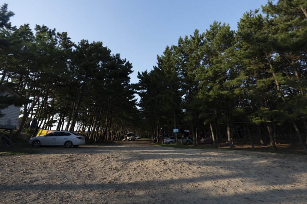 태안 운여해변 출사, 운여해변 솔밭 석양을 담다 6