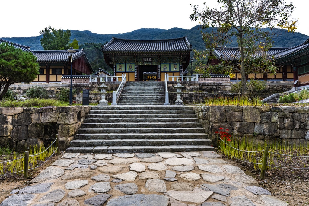 23년 9월 19~20일 꽃무릇 출사기(선운사 꽃무릇, 불갑사 꽃무릇, 용천사 꽃무릇) 9