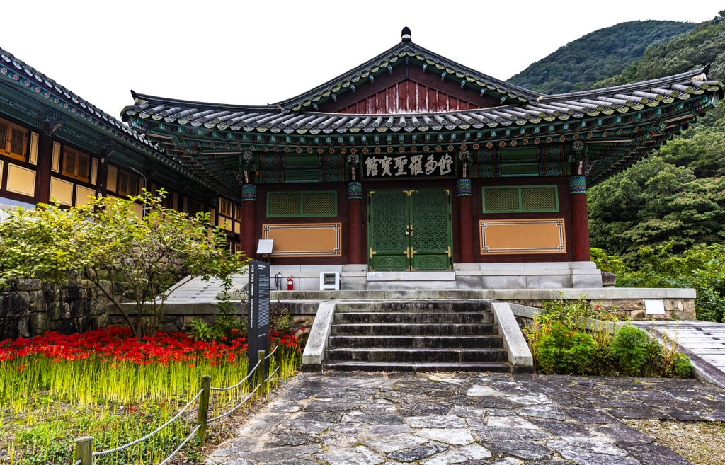 23년 9월 19~20일 꽃무릇 출사기(선운사 꽃무릇, 불갑사 꽃무릇, 용천사 꽃무릇) 10