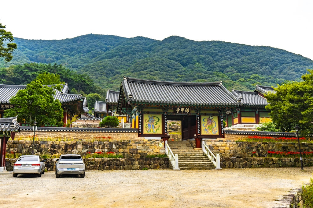 23년 9월 19~20일 꽃무릇 출사기(선운사 꽃무릇, 불갑사 꽃무릇, 용천사 꽃무릇) 7