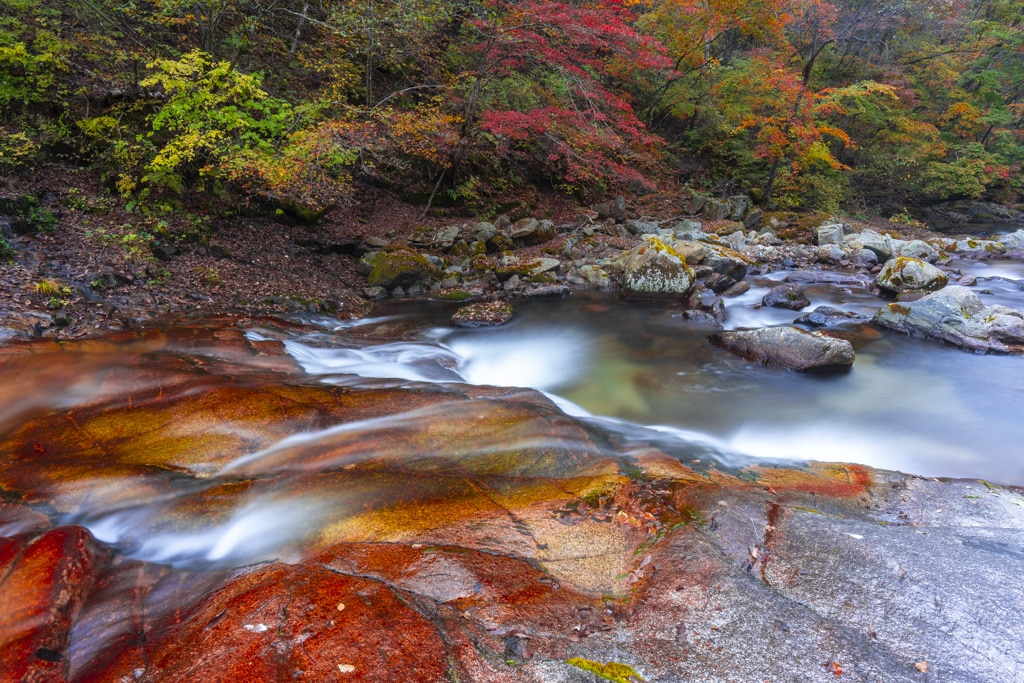 방태산 이단폭포 출사기(23년 10월 13일) 2