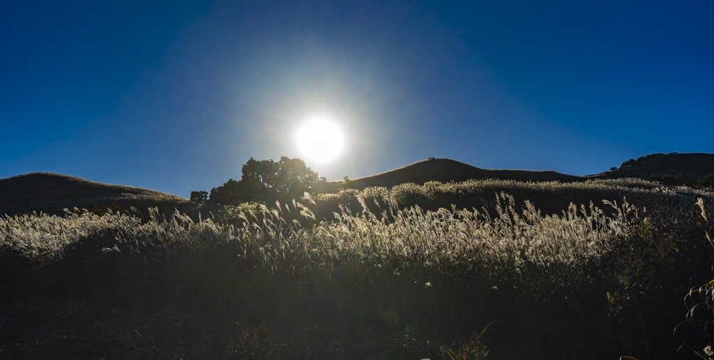 억새 장관을 담기위한 황매산 일출 출사기 3 억새 장관을 담기위한 황매산 일출 출사기 3