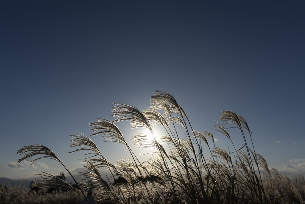 억새 장관을 담기위한 황매산 일출 출사기 9 억새 장관을 담기위한 황매산 일출 출사기 9