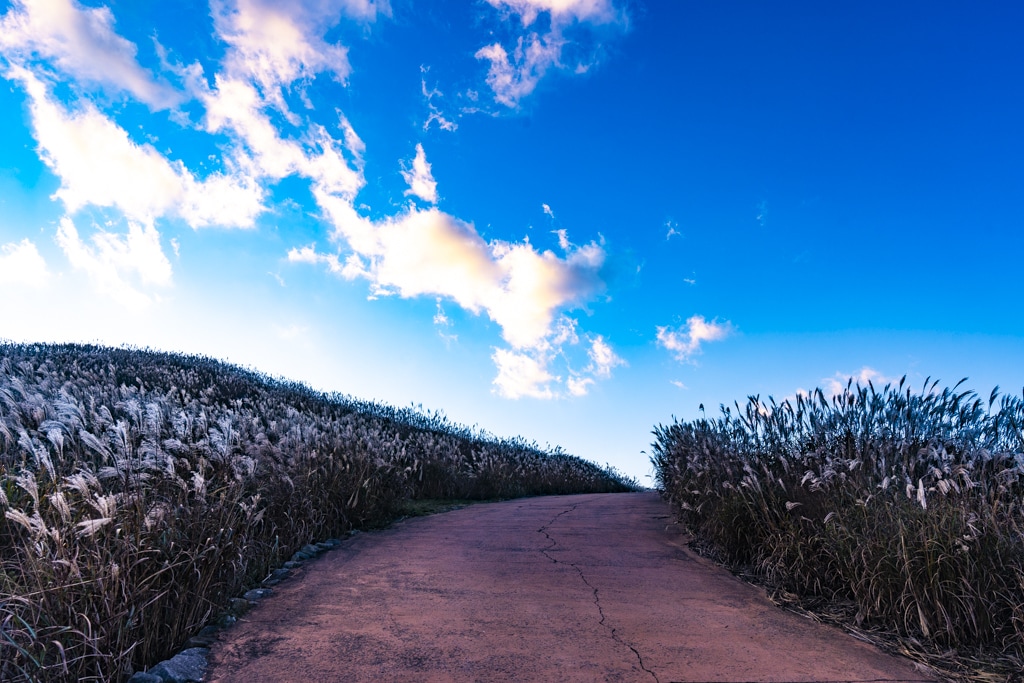 억새 장관을 담기위한 황매산 일출 출사기 11 억새 장관을 담기위한 황매산 일출 출사기 11