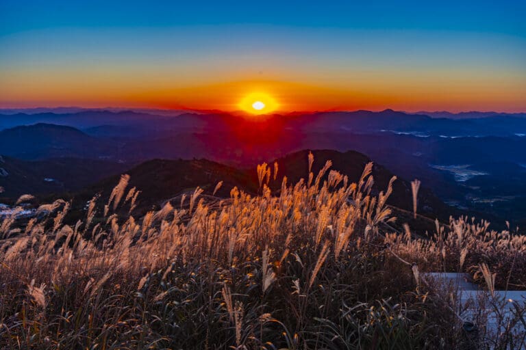 억새 장관을 담기위한 황매산 일출 출사기