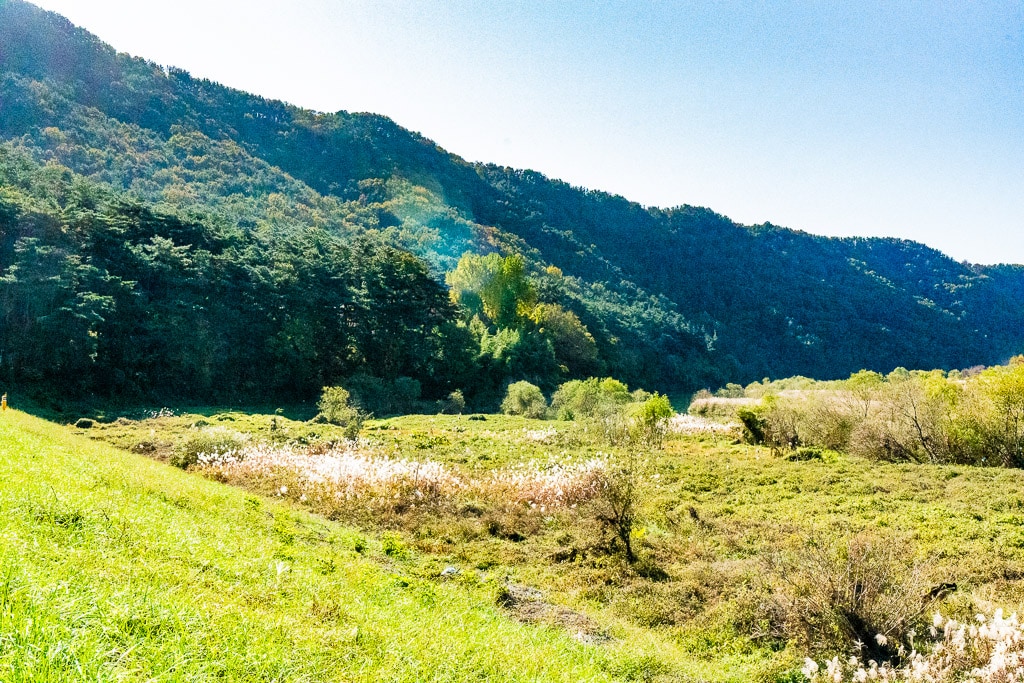 밀양 금시당 은행나무 출사를 다녀와서 1