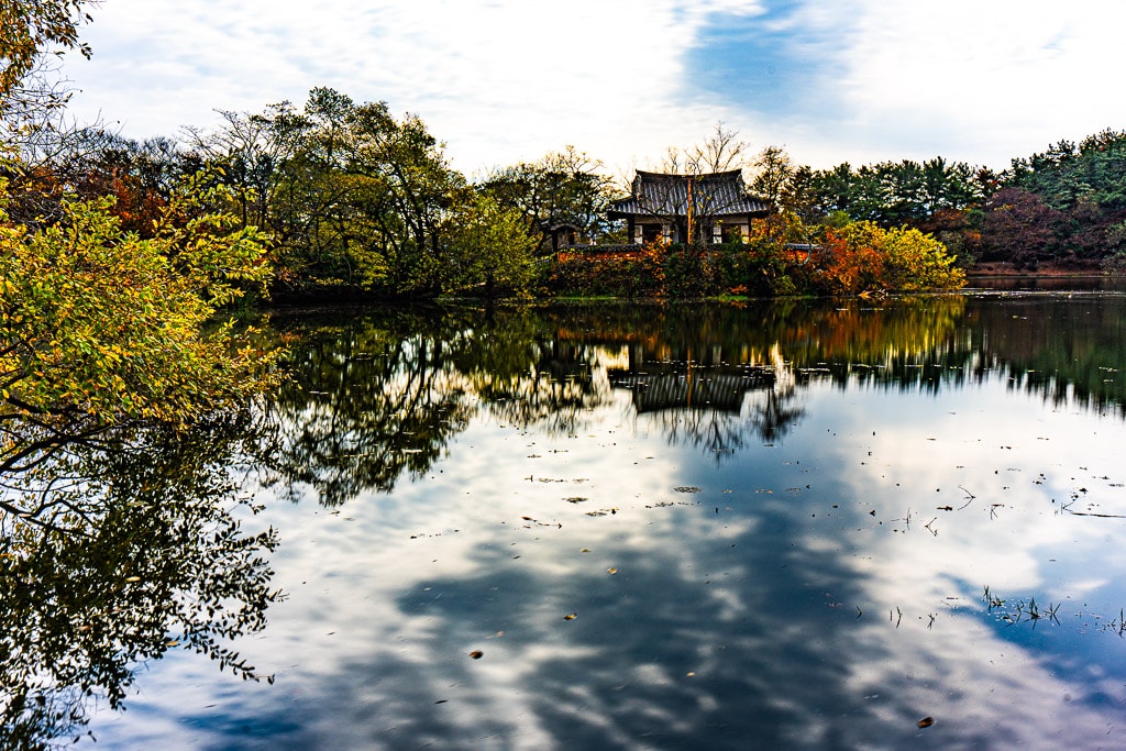 가을 단풍이 아름다웠던 밀양 위양지, 5월 이팝나무 풍경의 아쉬움을 잊게하다. 10