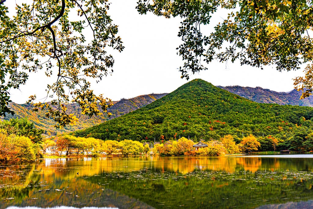 가을 단풍이 아름다웠던 밀양 위양지, 5월 이팝나무 풍경의 아쉬움을 잊게하다. 11