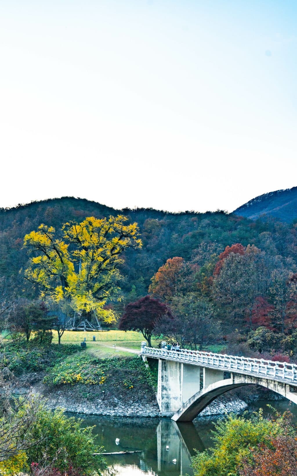 버킷리스트에 포함해야 한다는 가을 주산지에 다녀오다 34