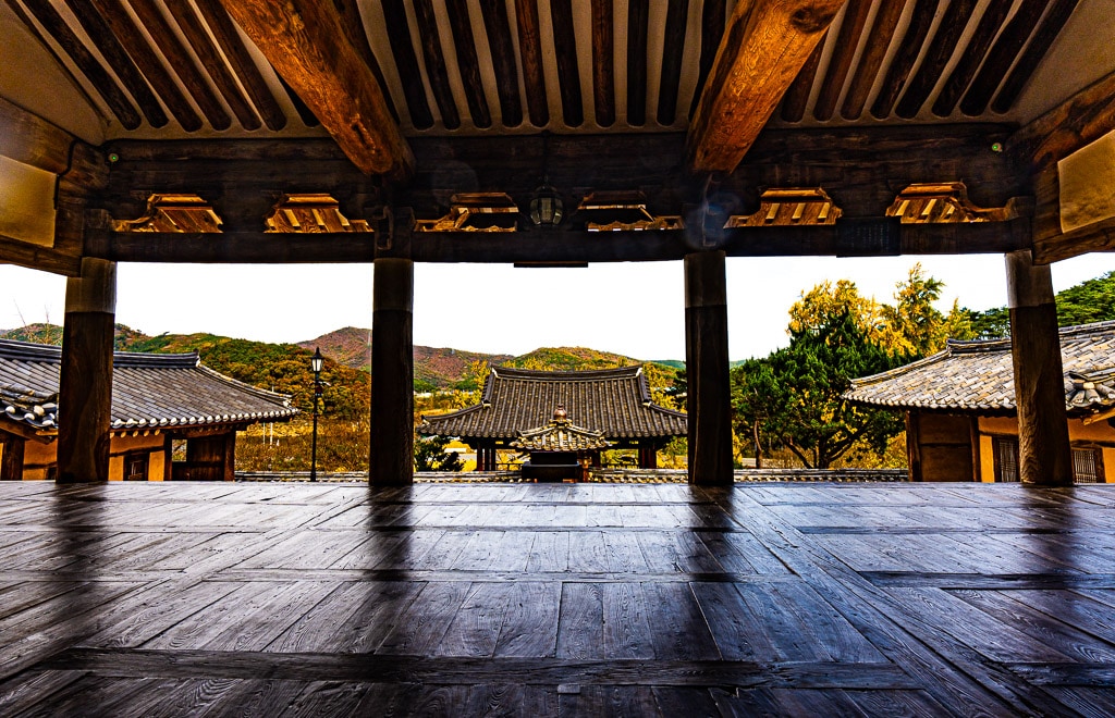 대구 도농서원 은행나무 단풍을 보다 28