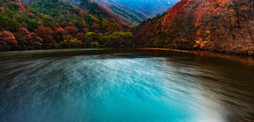 버킷리스트에 포함해야 한다는 가을 주산지에 다녀오다 35