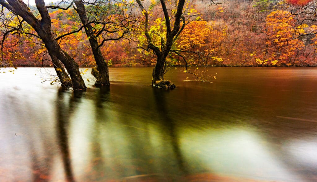 버킷리스트에 포함해야 한다는 가을 주산지에 다녀오다 38