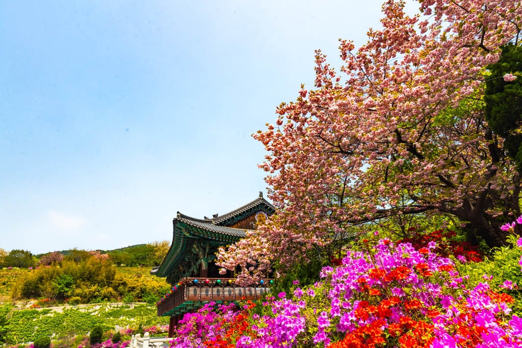 천안-각원사-풍경, 가원사 입구에서 바라본 태조산루, Photo by Happist