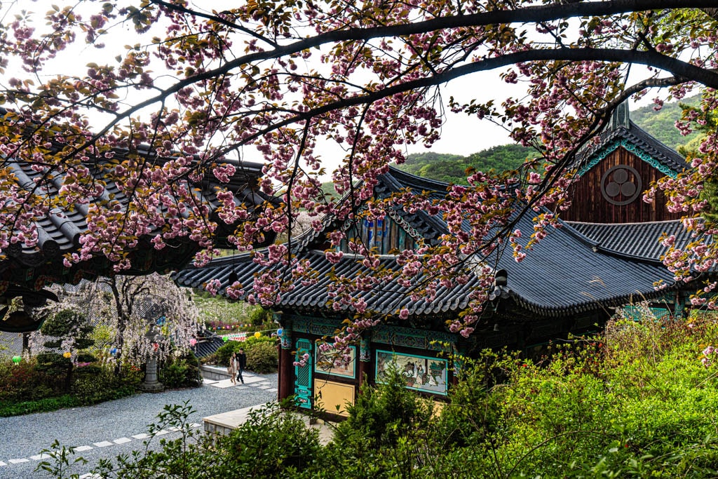 천안-각원사-풍경, 겹벚꽃이 아름다운 천불전과 산신전, Photo by Happist