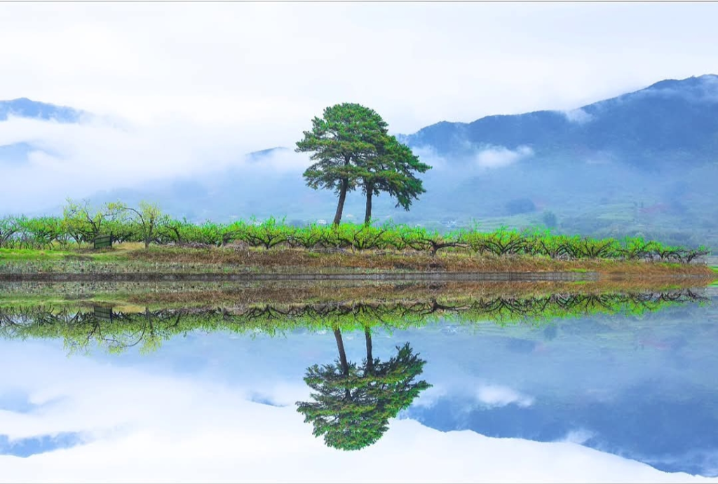 하동 부부송, 사진 이희순(페이스북)