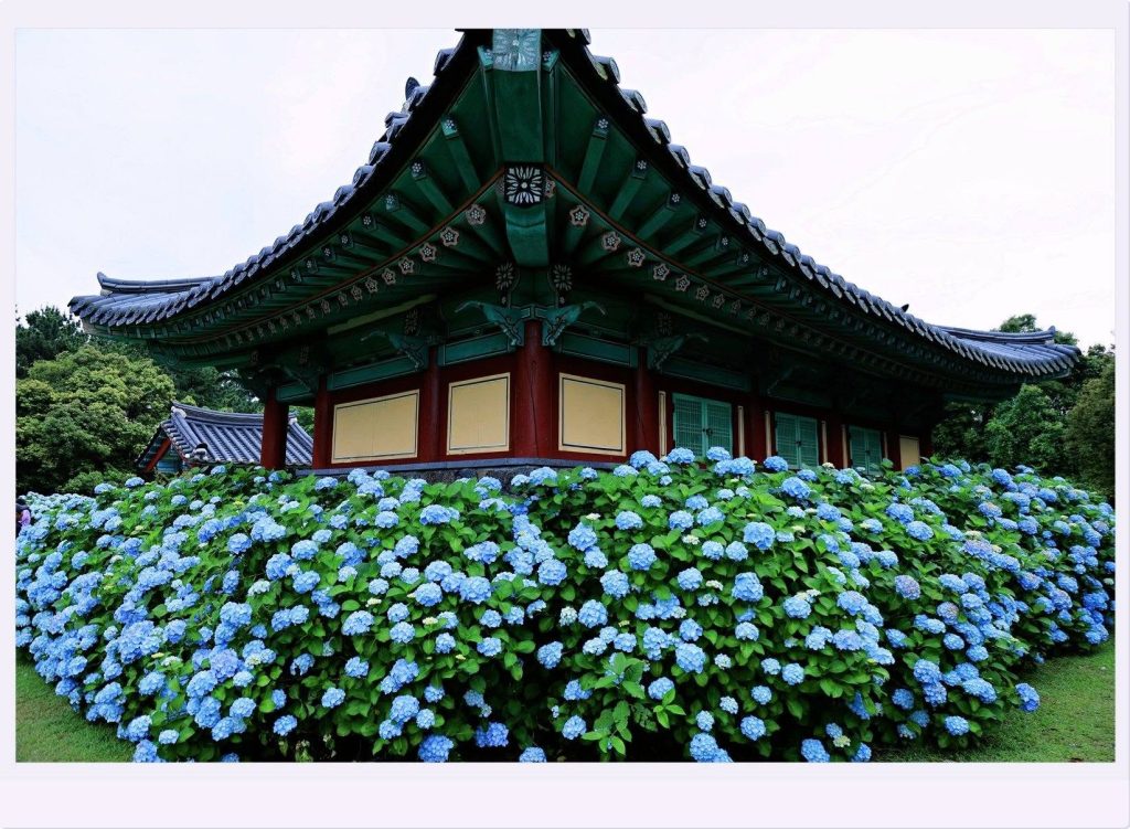 풍경 출사지 추천 정보를 모아보다 1