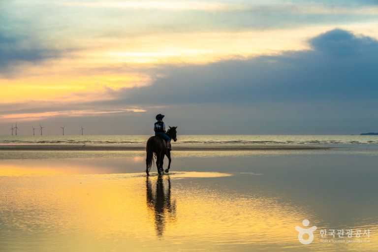 무릎건강을 위한 콘드로이친 선택 방법
