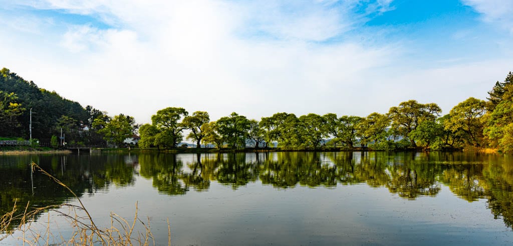 경산 반곡지 출사기, 반곡지 반영