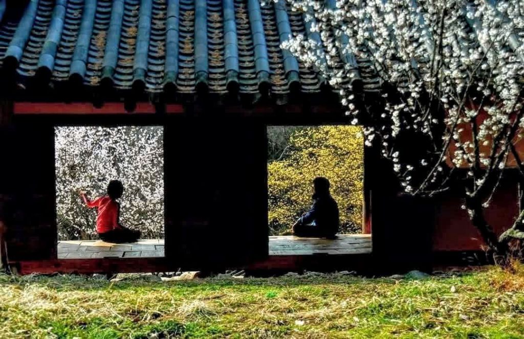 풍경 출사지 추천 정보를 모아보다 2