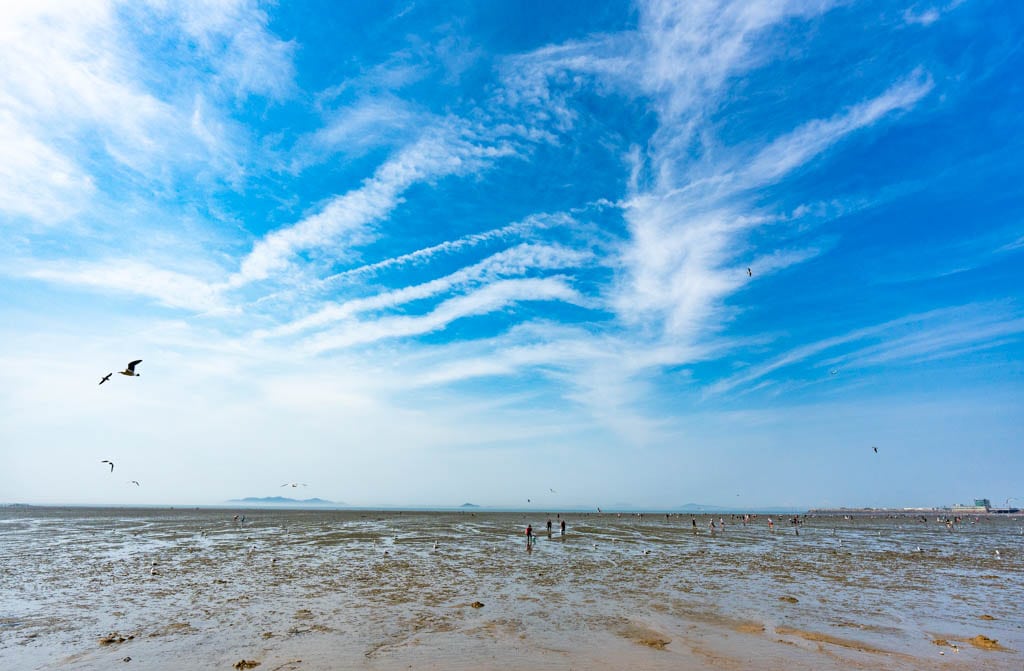 봄날의 시화방조제, 달전망대 그리고 대부도 여행기 6