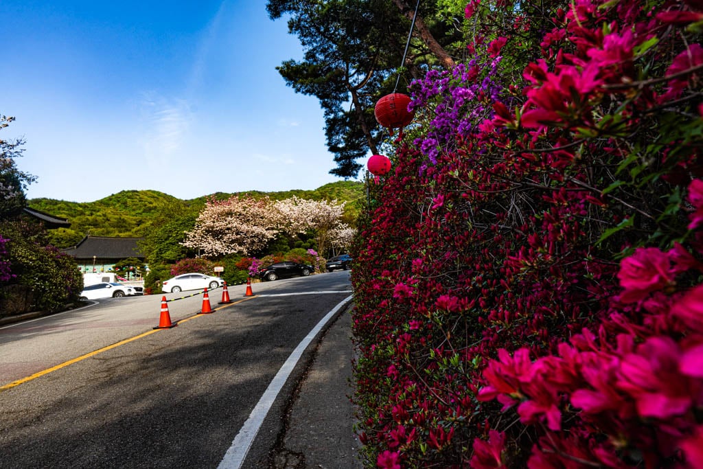 천안 각원사 풍경, 각원사 입구 풍경, Photo by happist