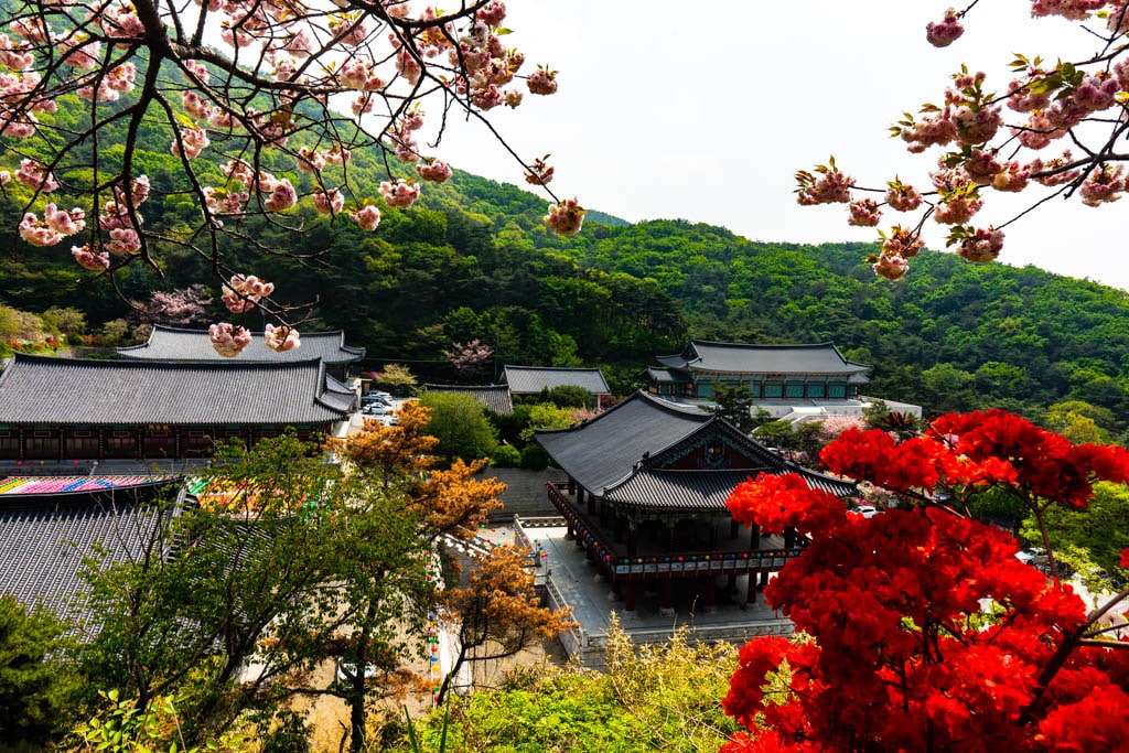 천안 각원사 풍경,각원사 전경, Photo by Happist