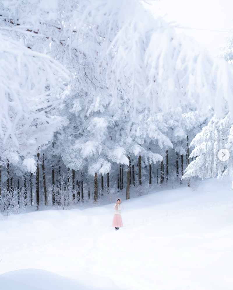 풍경 출사지 추천 정보를 모아보다 1