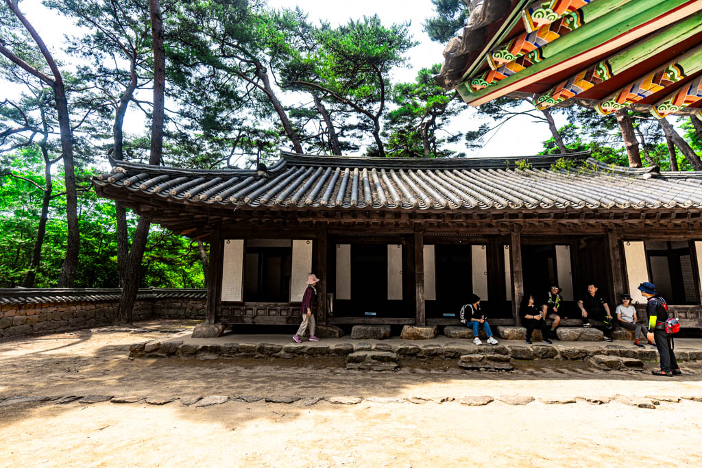 단종 유배 2개월의 흔적이 너무 진한 영월 청령포 출사기 8