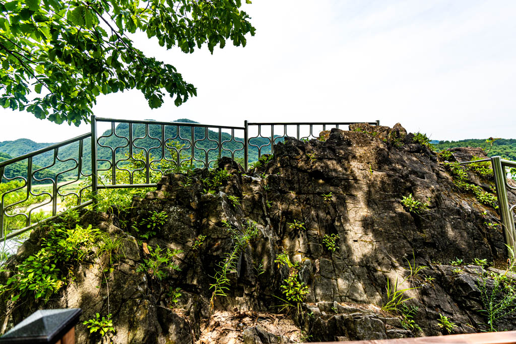 단종 유배 2개월의 흔적이 너무 진한 영월 청령포 출사기 15