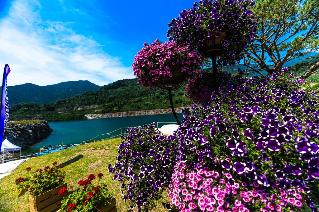 폐광 재생 사례, 동해시 무릉별 유천지 라벤더 출사기 28