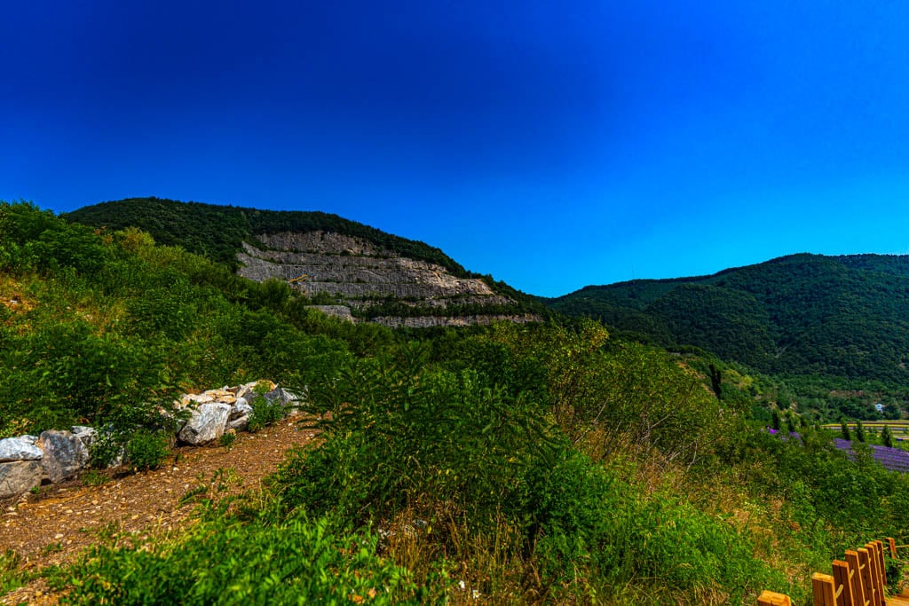 폐광 재생 사례, 동해시 무릉별 유천지 라벤더 출사기 20
