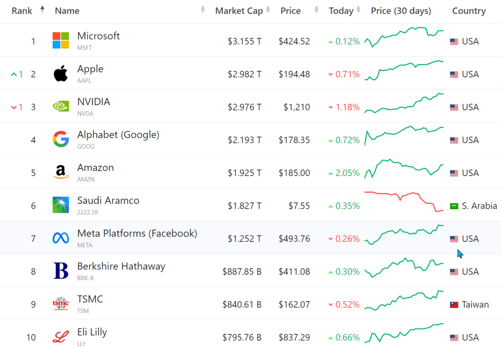 세계 시가총액 Top 10 2024-6-6