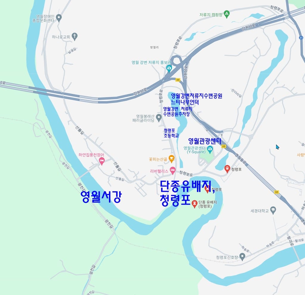 영월 단종 유배지 근처, 붉은 매자나무 언덕, 영월 용마루나무 출사 1