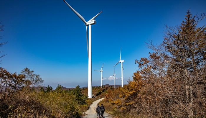 강원도 횡성 태기산, 풍력발전소를 가로지르는 도로 풍경, 이미지 출처_대한관광공사