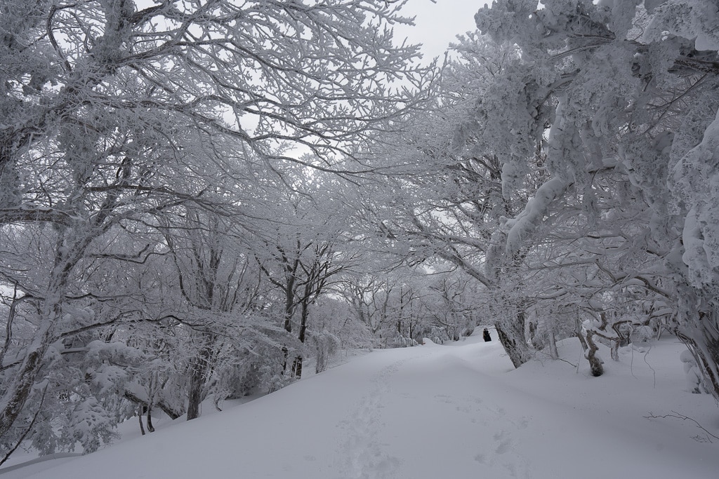 자동차로 정상까지, 자동차 등산이 가능한 풍경 맛집을 알아보자 16