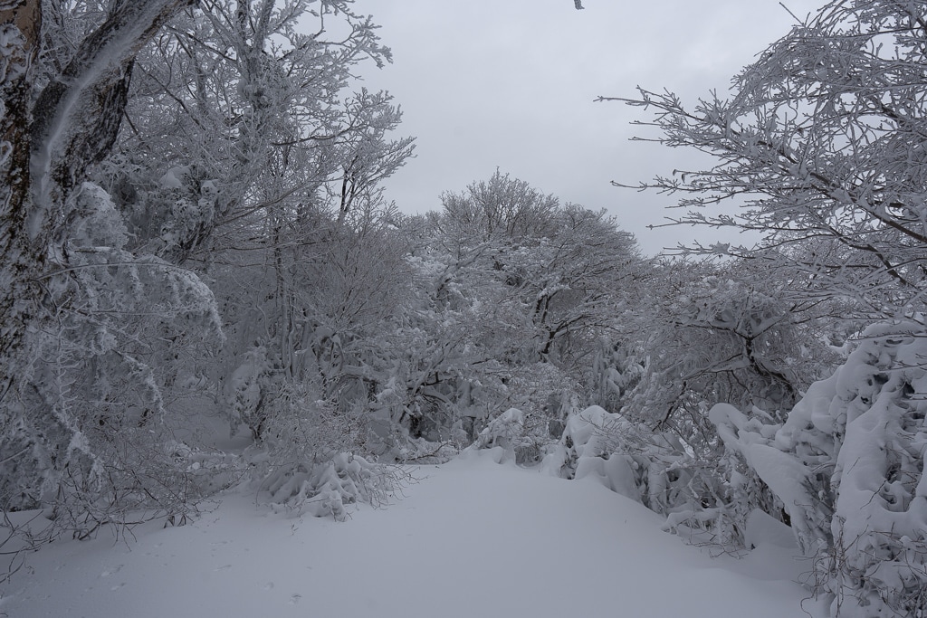 자동차로 정상까지, 자동차 등산이 가능한 풍경 맛집을 알아보자 17