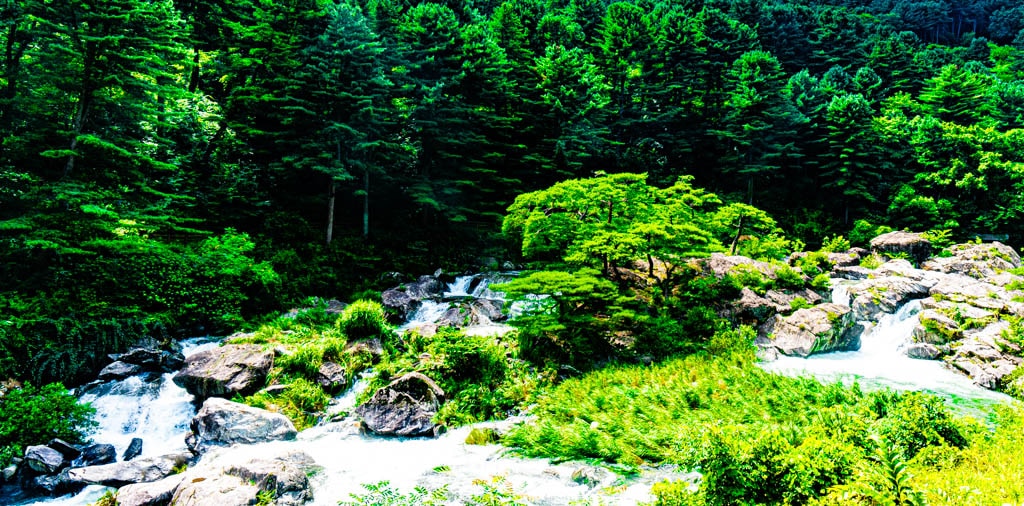 서울 경기 여름 물놀이 계곡 추천 31