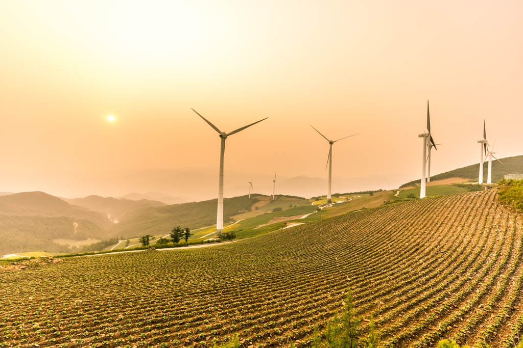 태백 바람의언덕 차박, 매봉산 풍력발전단지 차박기록 8