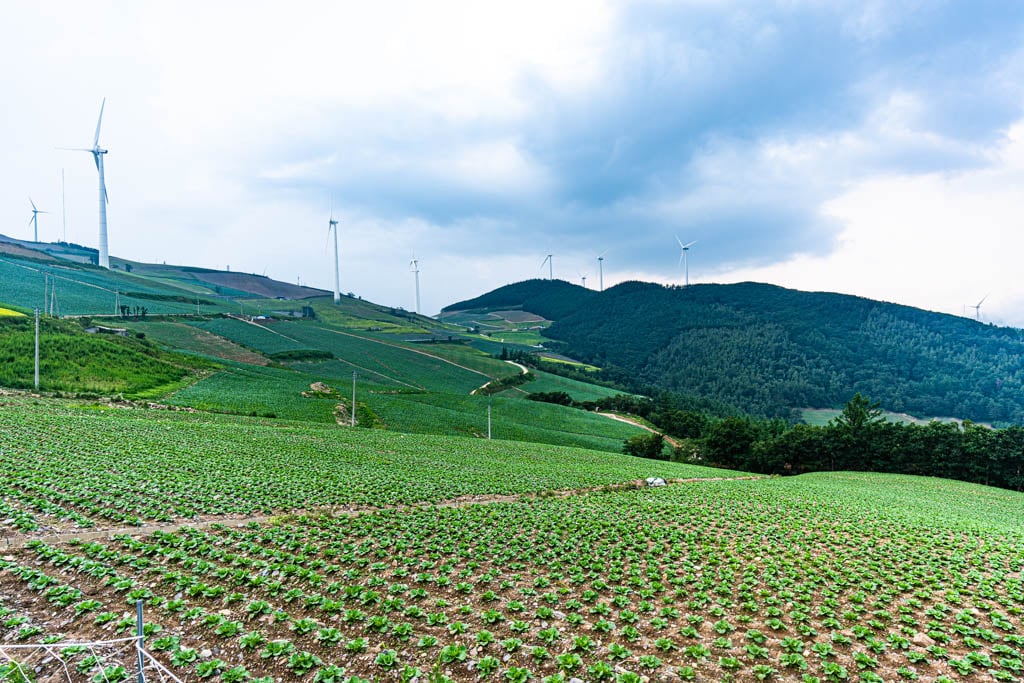 태백 바람의언덕 차박, 매봉산 풍력발전단지 차박기록 1