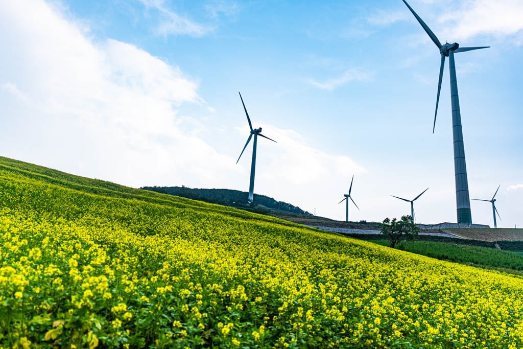 태백 바람의언덕 차박, 매봉산 풍력발전단지 차박기록 3