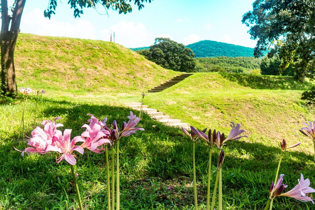 평화로운 오천항 풍광이 일품인 충청 수영성 방문기 16