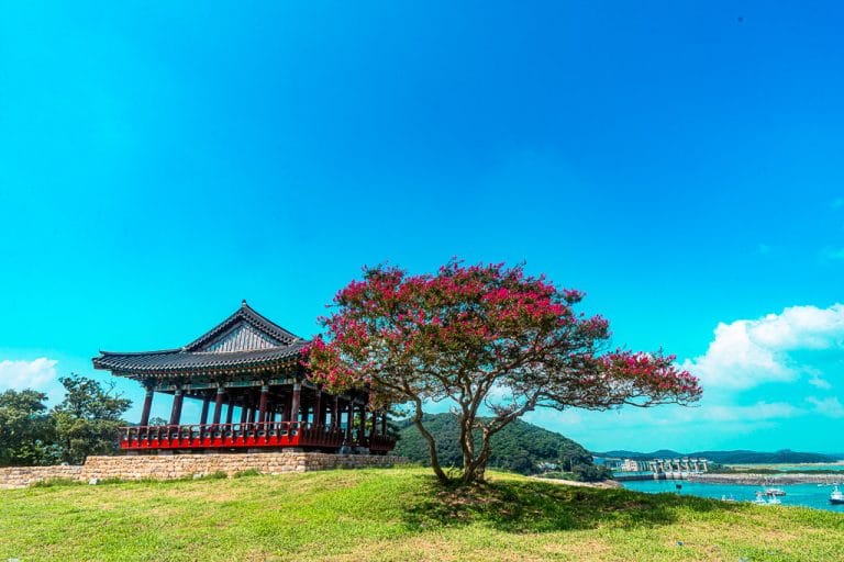 평화로운 오천항 풍광이 일품인 충청 수영성 방문기