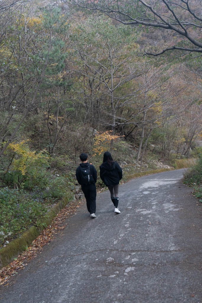 가을 억새여행, 영남 알프스 간월재 억새평원을 다녀온 이야기 60
