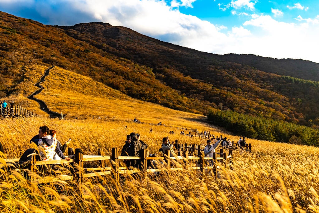 가을 억새여행, 영남 알프스 간월재 억새평원을 다녀온 이야기 54