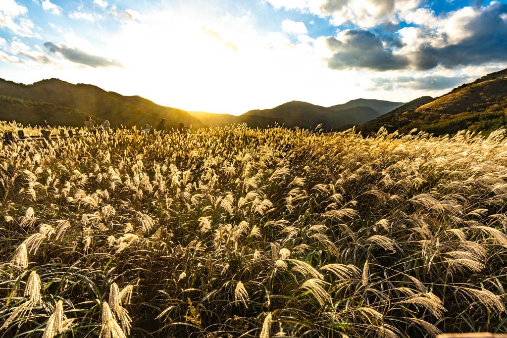 가을 억새여행, 영남 알프스 간월재 억새평원을 다녀온 이야기 55