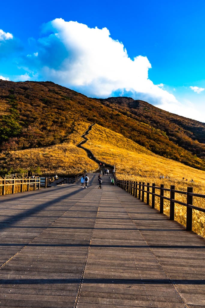 가을 억새여행, 영남 알프스 간월재 억새평원을 다녀온 이야기 57