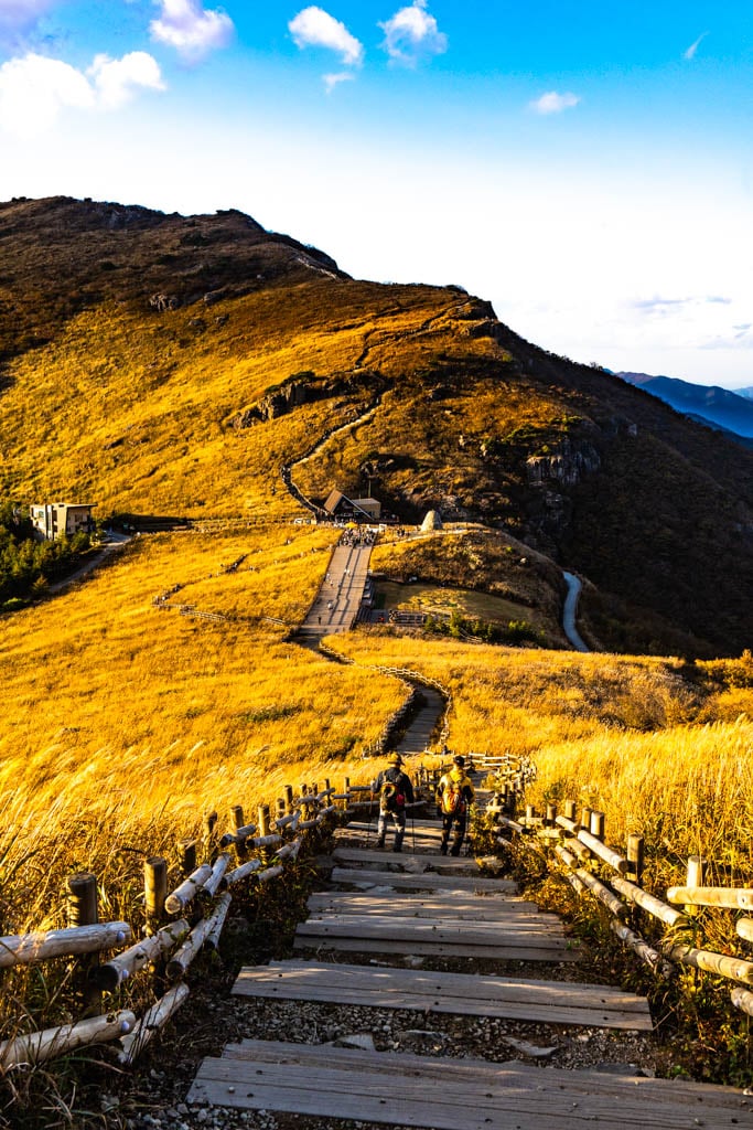 가을 억새여행, 영남 알프스 간월재 억새평원을 다녀온 이야기 53
