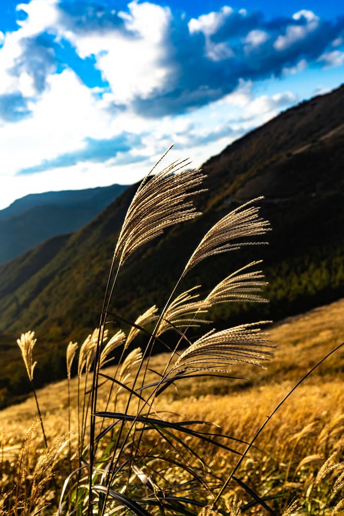 가을 억새여행, 영남 알프스 간월재 억새평원을 다녀온 이야기 56