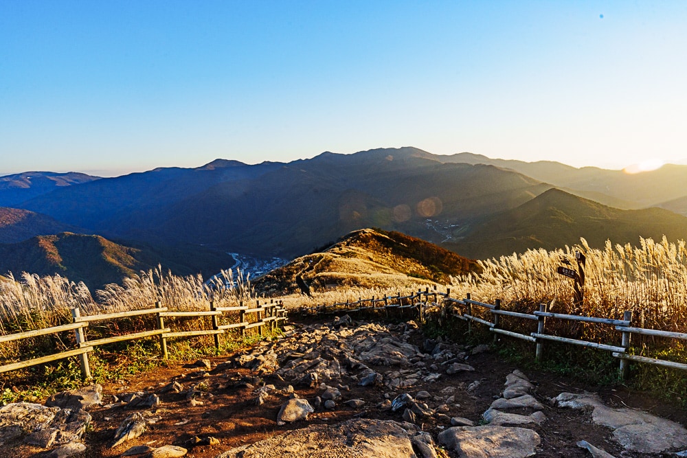 정선 민둥산 억새, 민둥산 정사에서 증산처교 발향의 인둥산 억새길 풍경_DSC8615 Photo by Happist